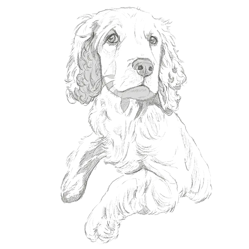 Gemini_Generated_Imag_xv4sh4xv4sh4xv4s
