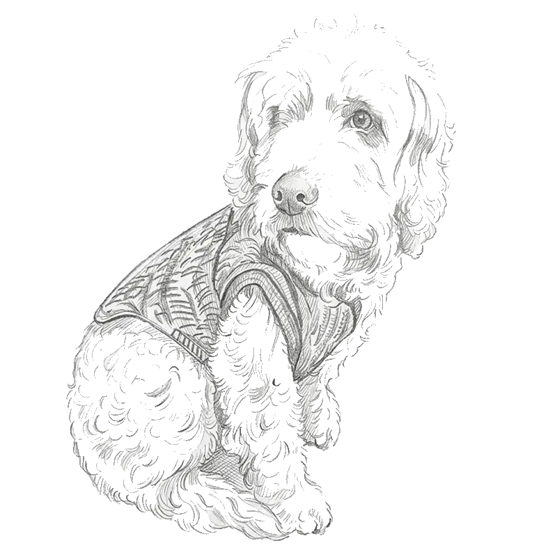 Gemini_Generated_Image_d1whh1d1whh1d1wh